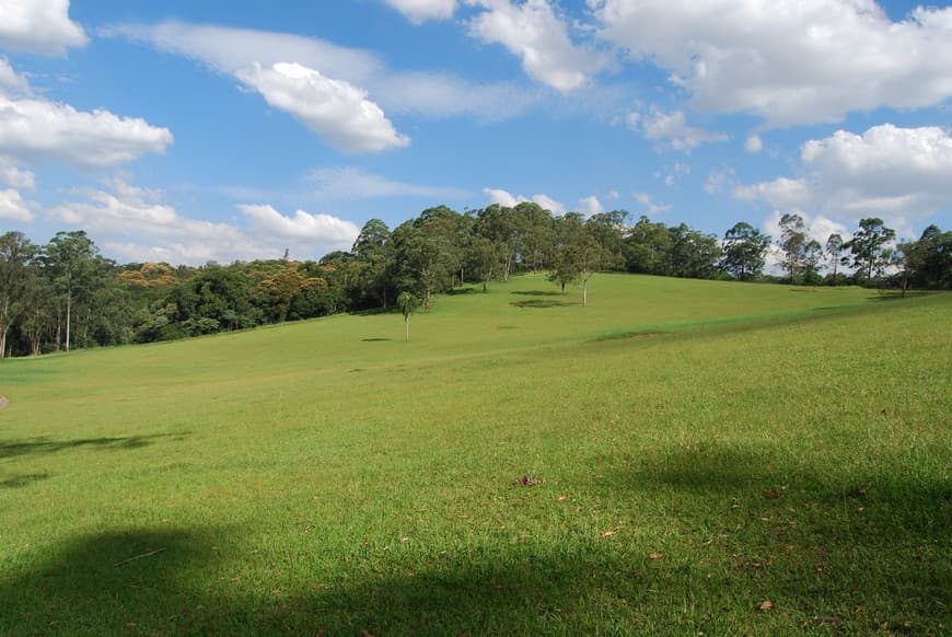 Lugar Parque do Carmo