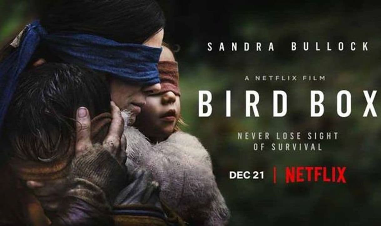 Película Bird Box