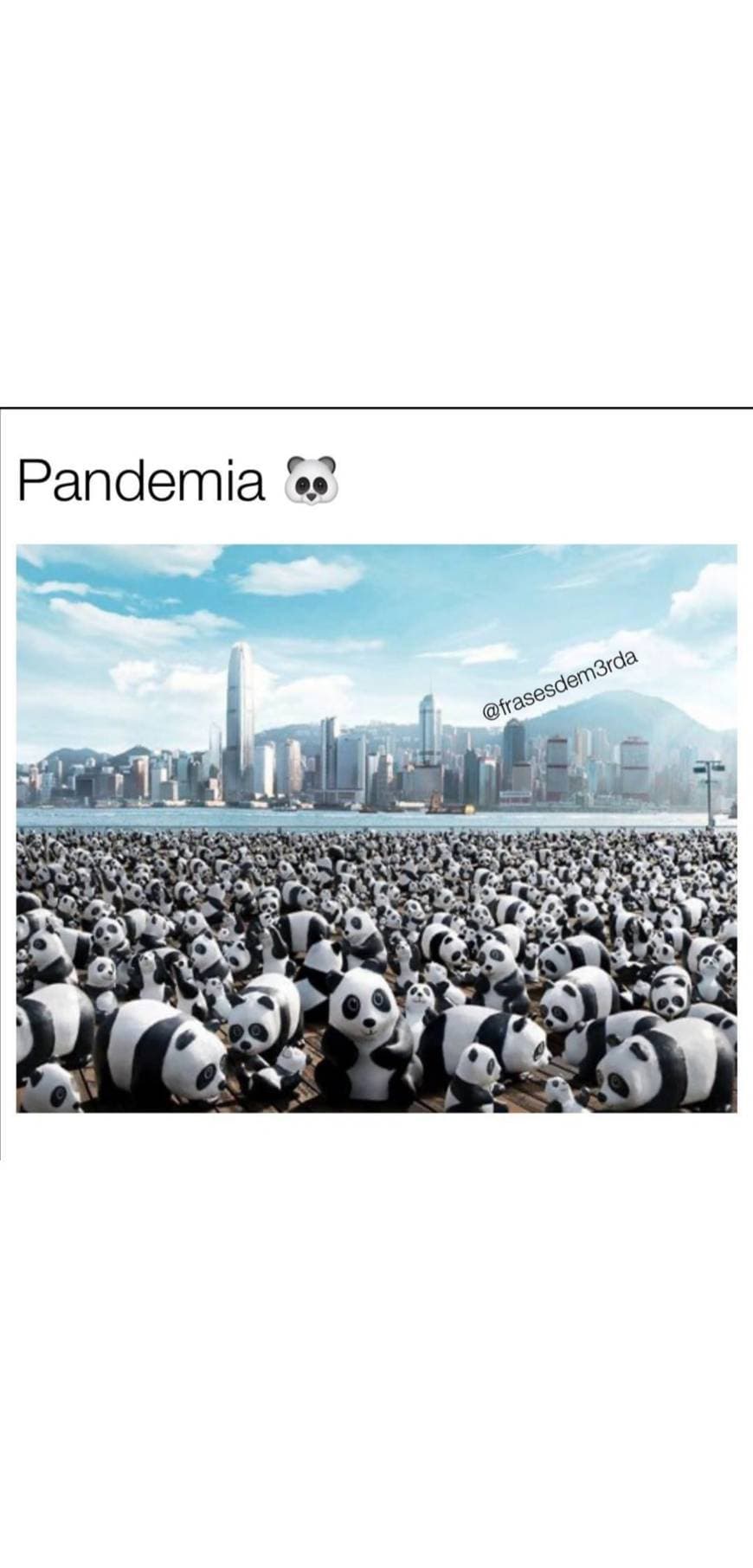 Fashion Literalmente pandemia 🐼