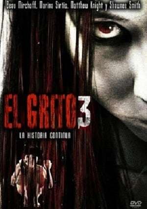 Película The Grudge 3