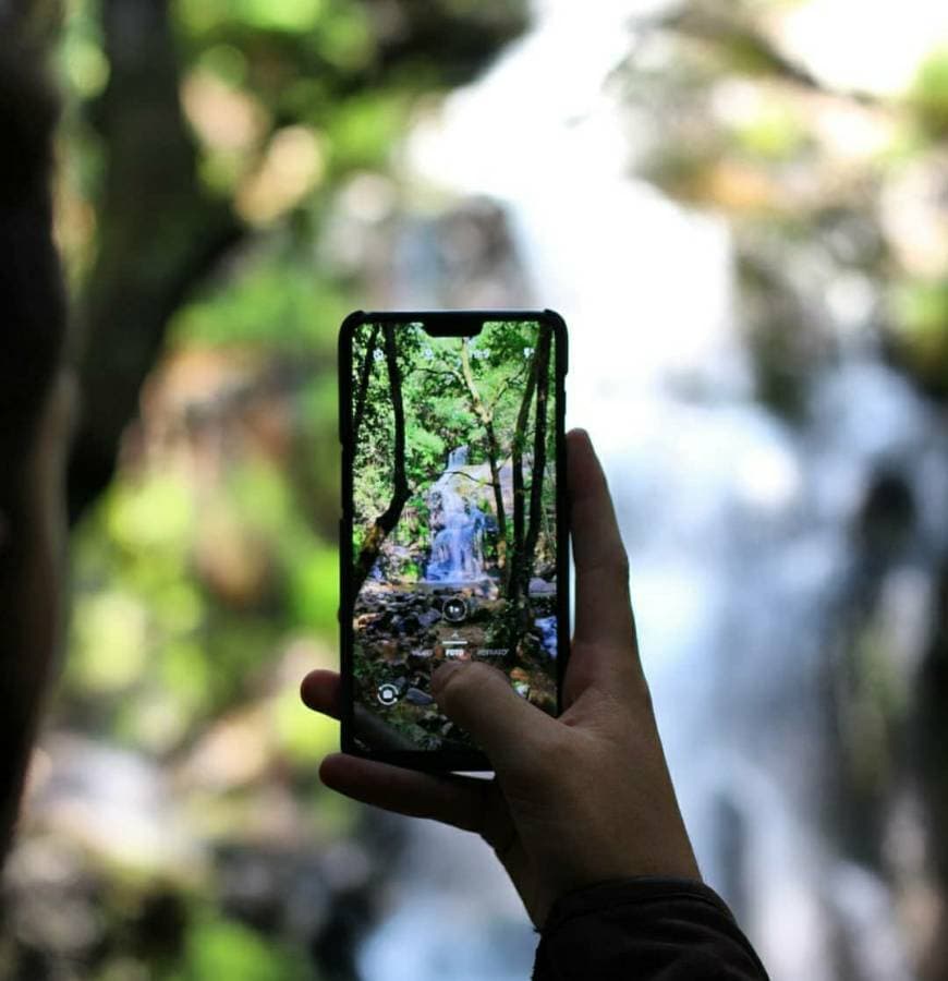 Lugar Parque da Cabreia