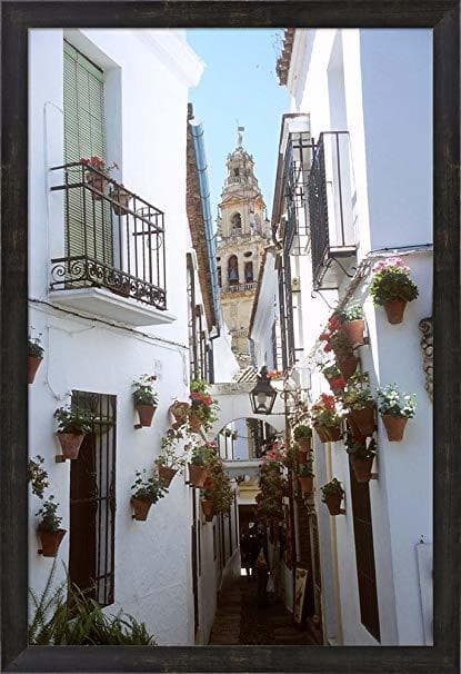 Place Calleja de las Flores