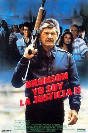 Movie Death Wish 4: The Crackdown