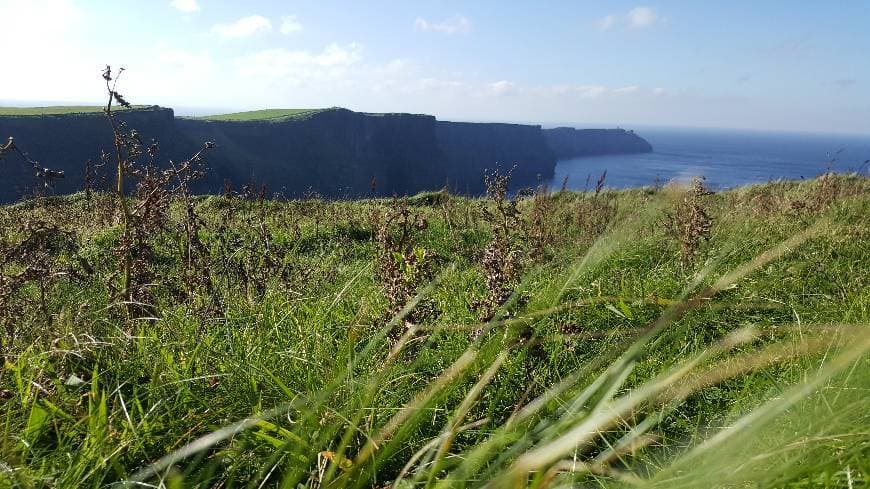 Place Cliffs of Moher