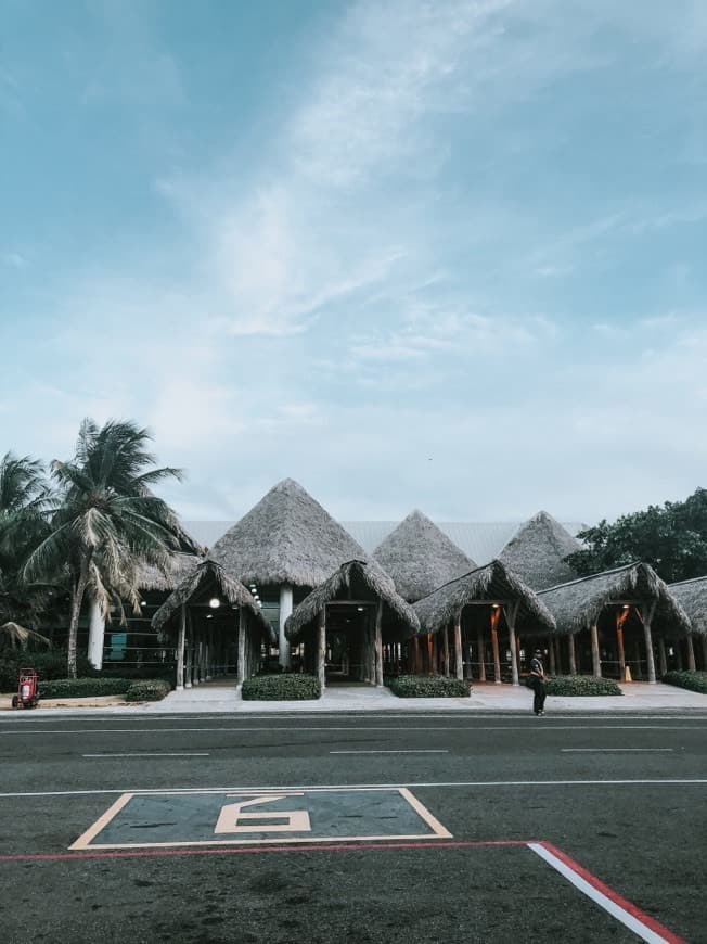 Lugar Punta Cana International Airport