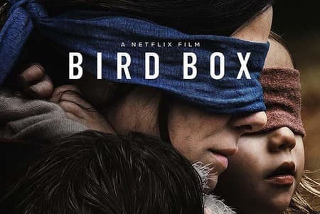 Movie Bird Box