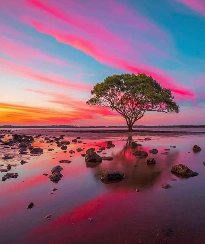 Place Australia