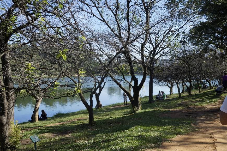 Place Parque do Ibirapuera