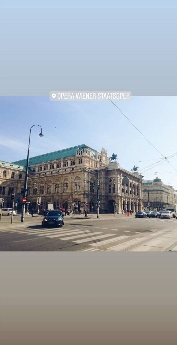 Place Vienna Operahouse