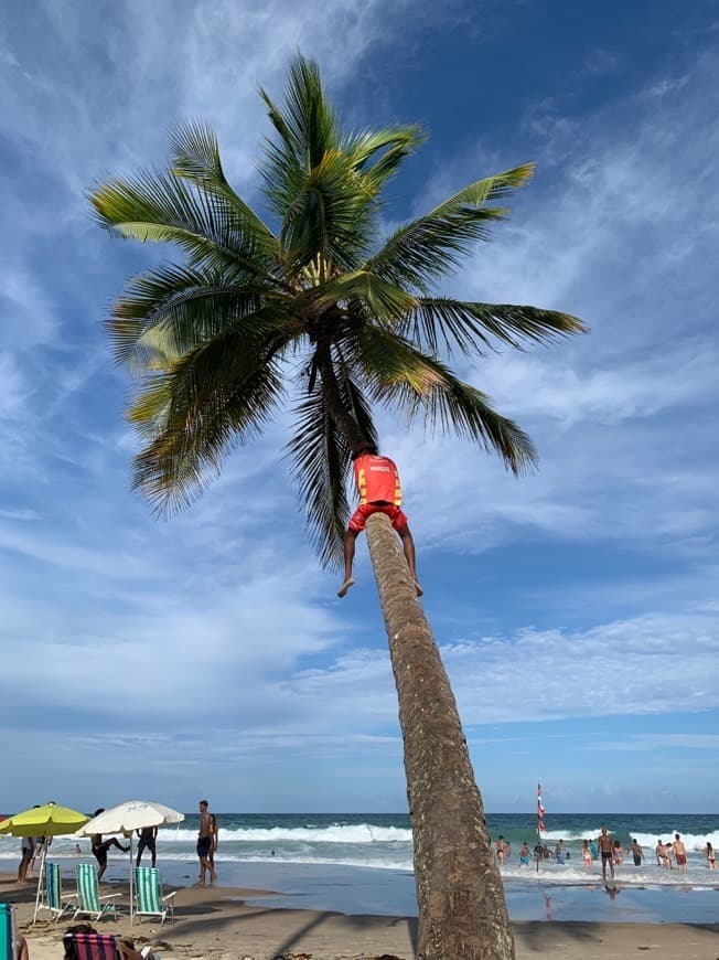 Place Praia do Resende