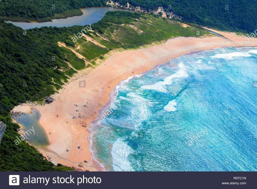 Place Lagoinha do Leste Beach