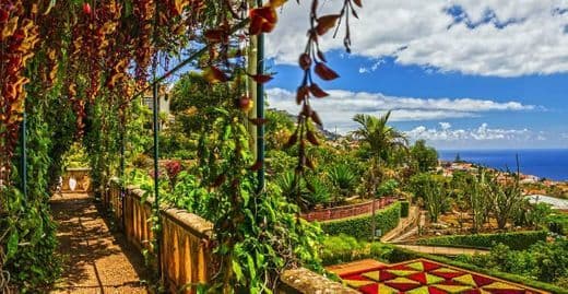 Lugar Jardín Botánico de Madeira