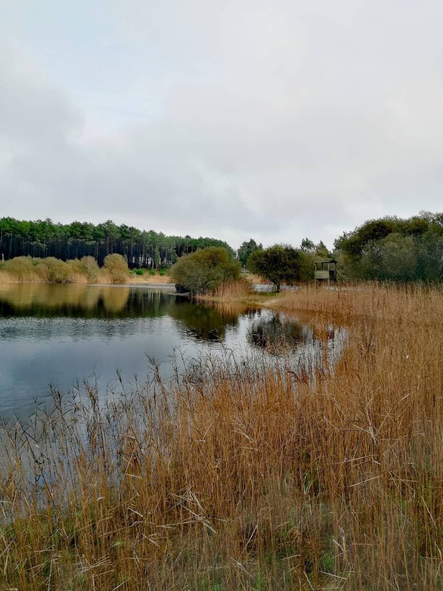 Lugar Lagoa de Pataias