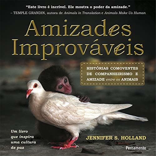 Book Amizades Improváveis