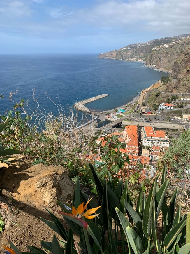 Place Ribeira Brava