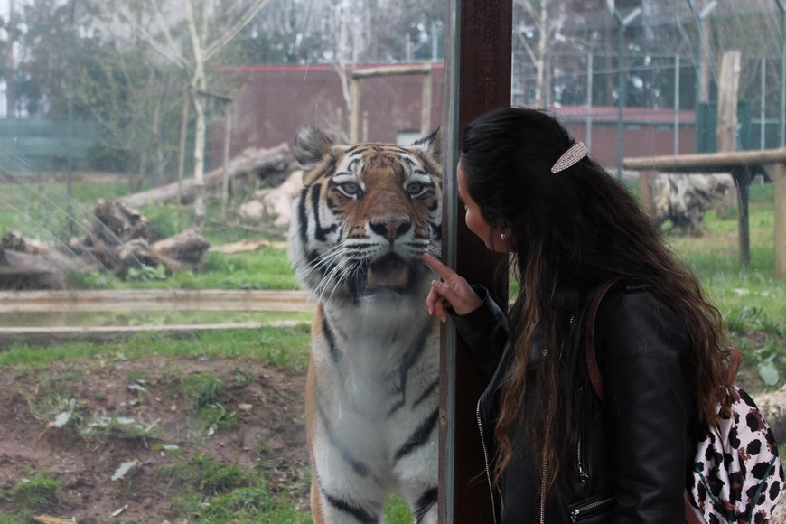 Place ZOO Santo Inácio