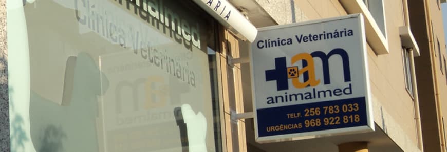 Lugar Clínica Veterinária de Esmoriz