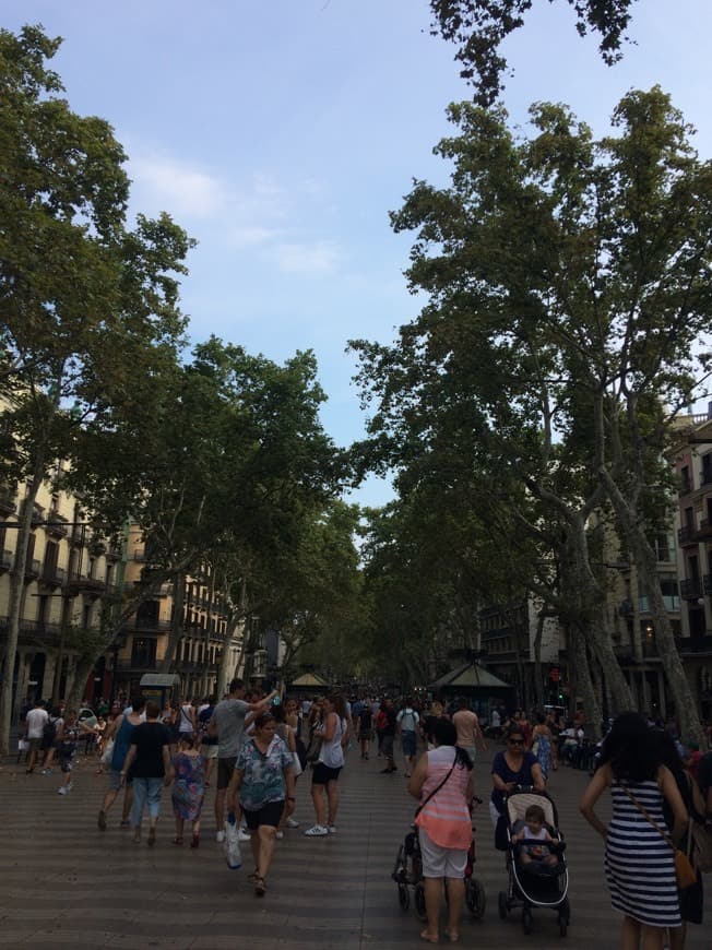 Place Barcelona