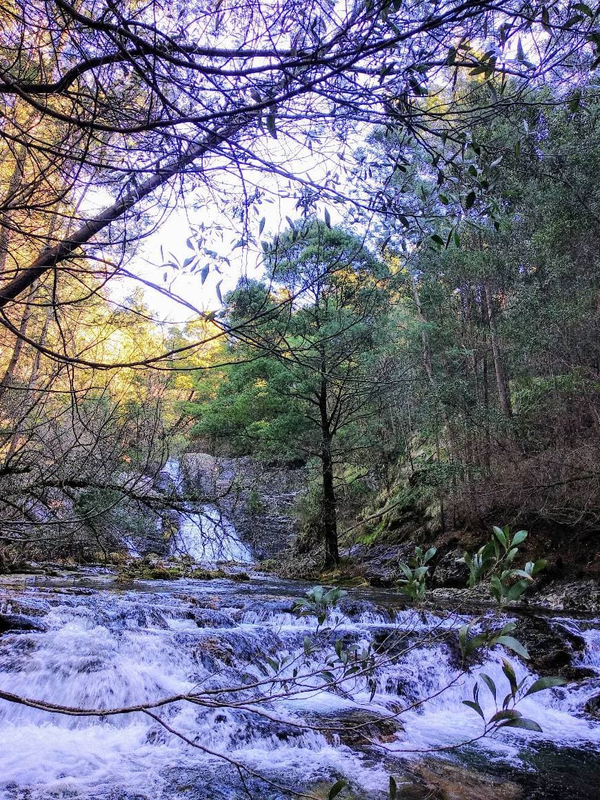 Lugar Serra de Arga