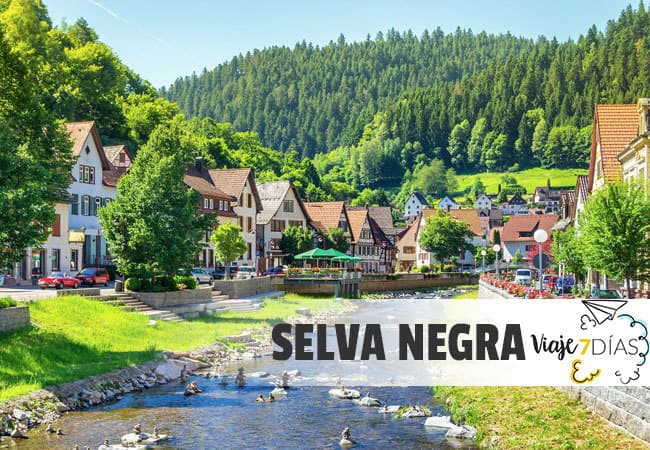 Lugar Selva Negra