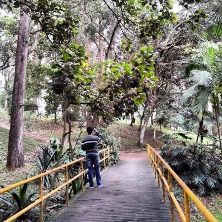 Place Parque Chácara Silvestre