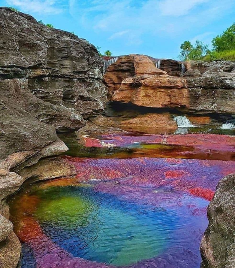 Place Caño Cristales