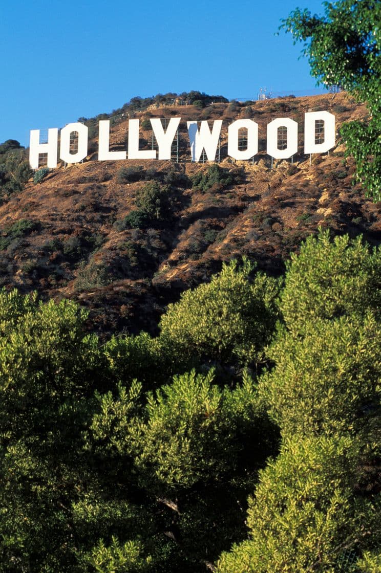 Place Hollywood Sign