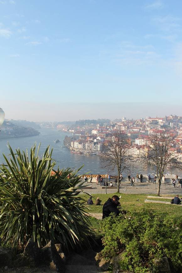 Lugar Jardim do Morro