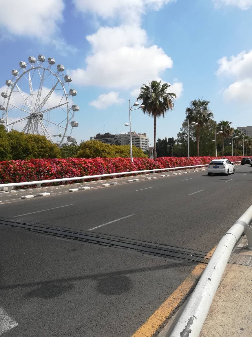 Place Puente de Las Flores