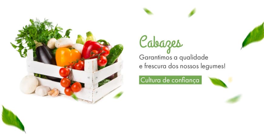 Moda Banca Terra: Produção Agrícola Sustentável