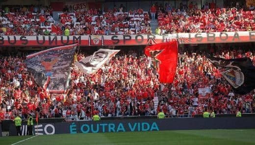 Fashion Claque do benfica 