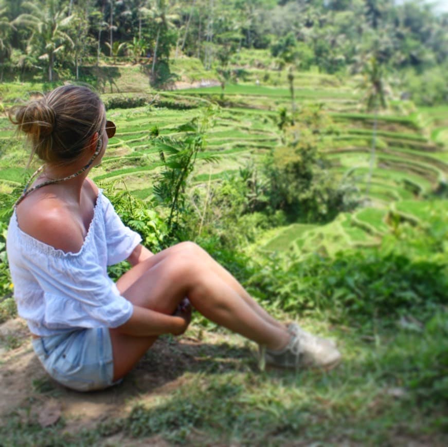 Lugar Tegallalang Rice Terrace