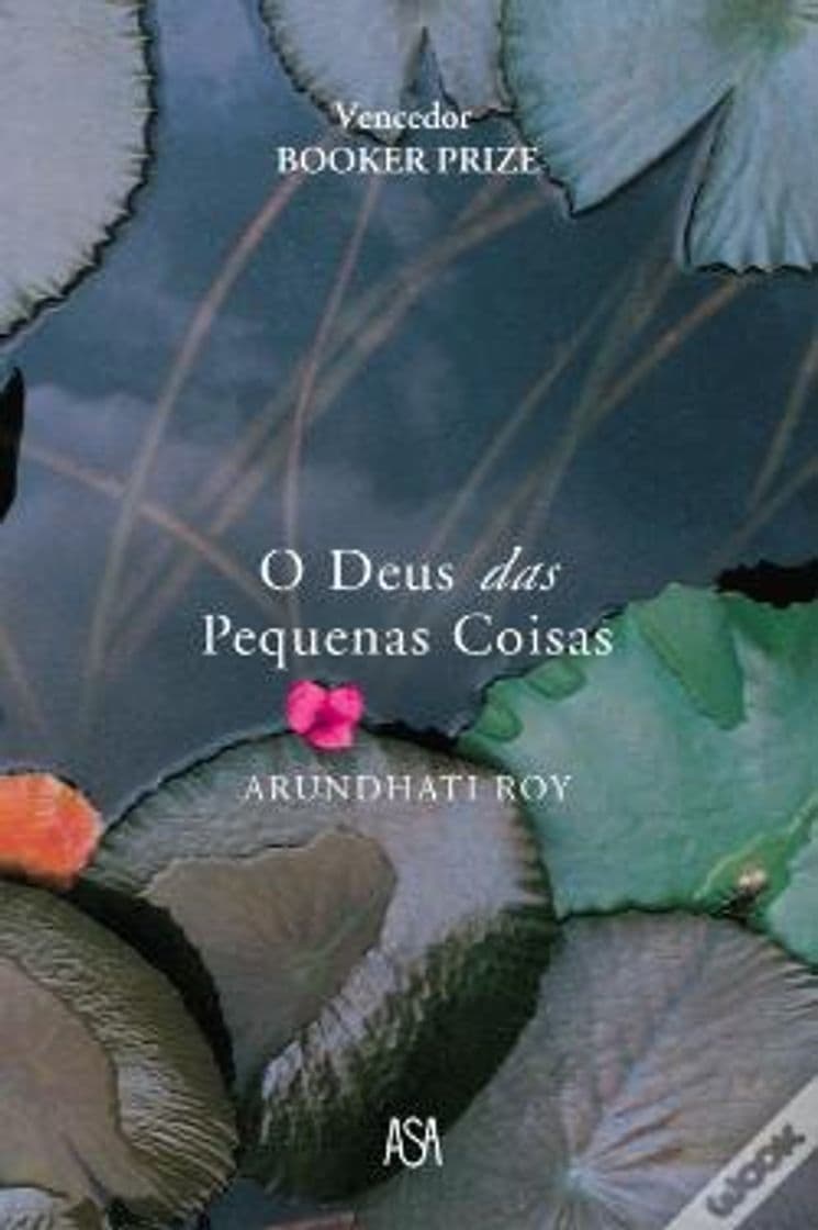 Libro O Deus das Pequenas Coisas - Arundathi Roy