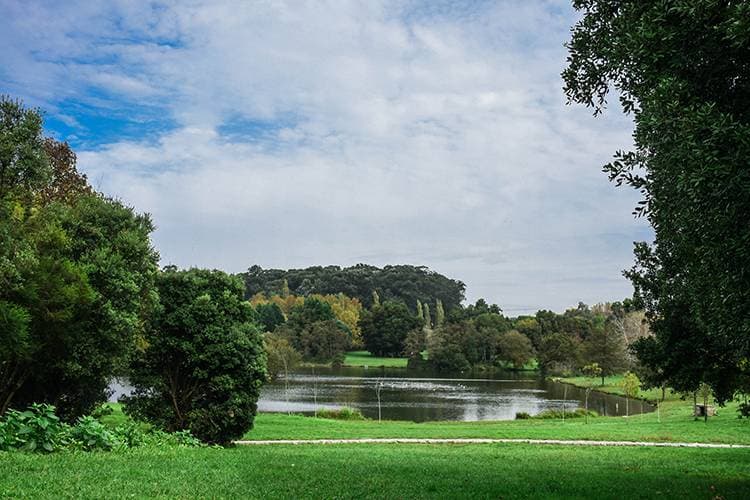 Place Parque Cidade