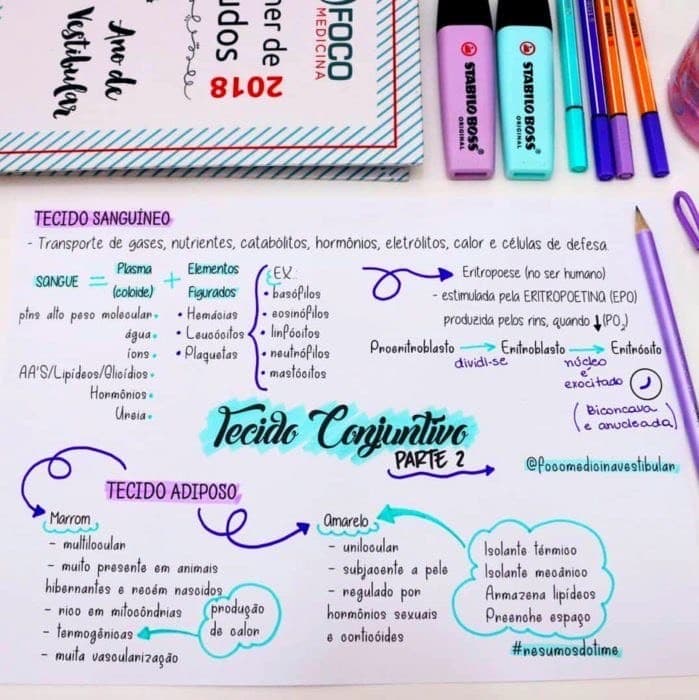 Moda Mapa mental 