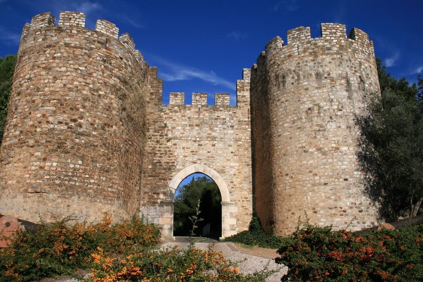 Place Castelo de Vila Viçosa