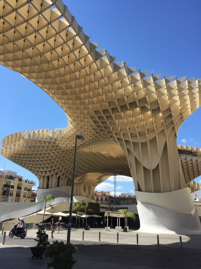 Lugar Olé Sevilla🇪🇸