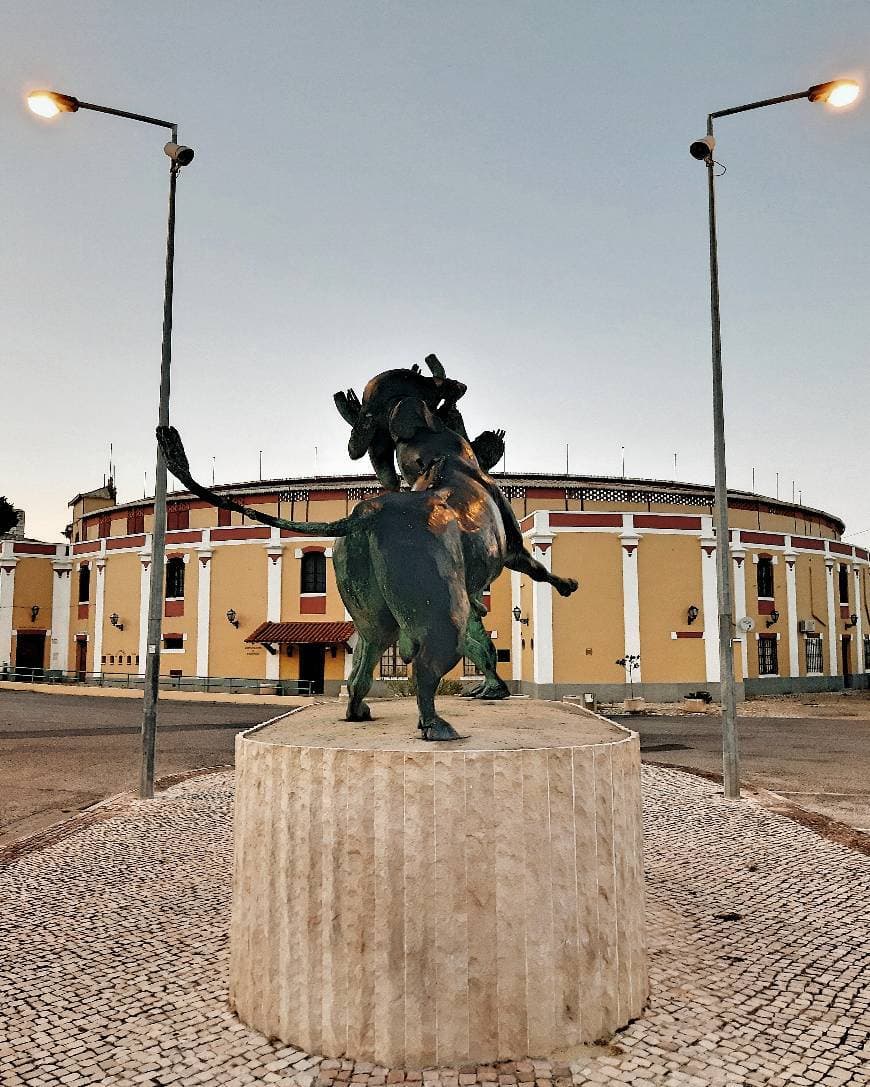 Lugar Praça de Touros Palha Blanco