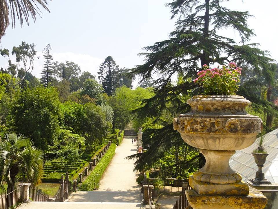 Moda Jardim Botânico da Universidade de Coimbra