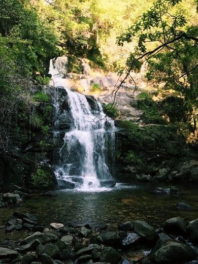 Lugar Parque da Cabreia