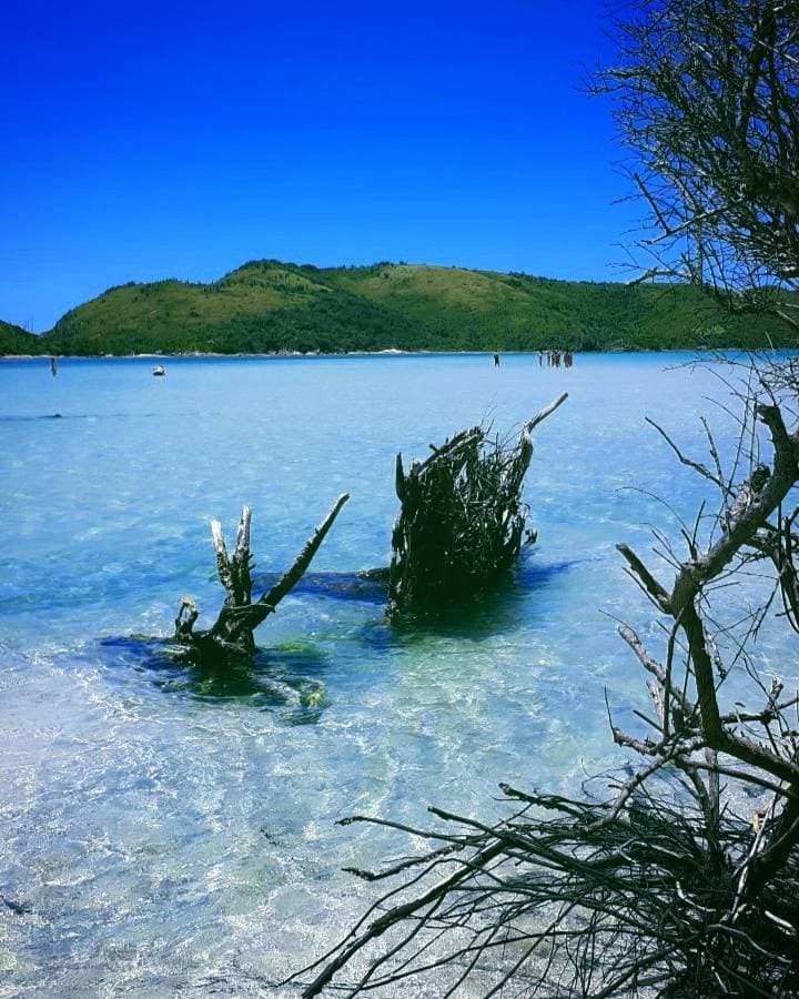 Place Ilha do Japonês