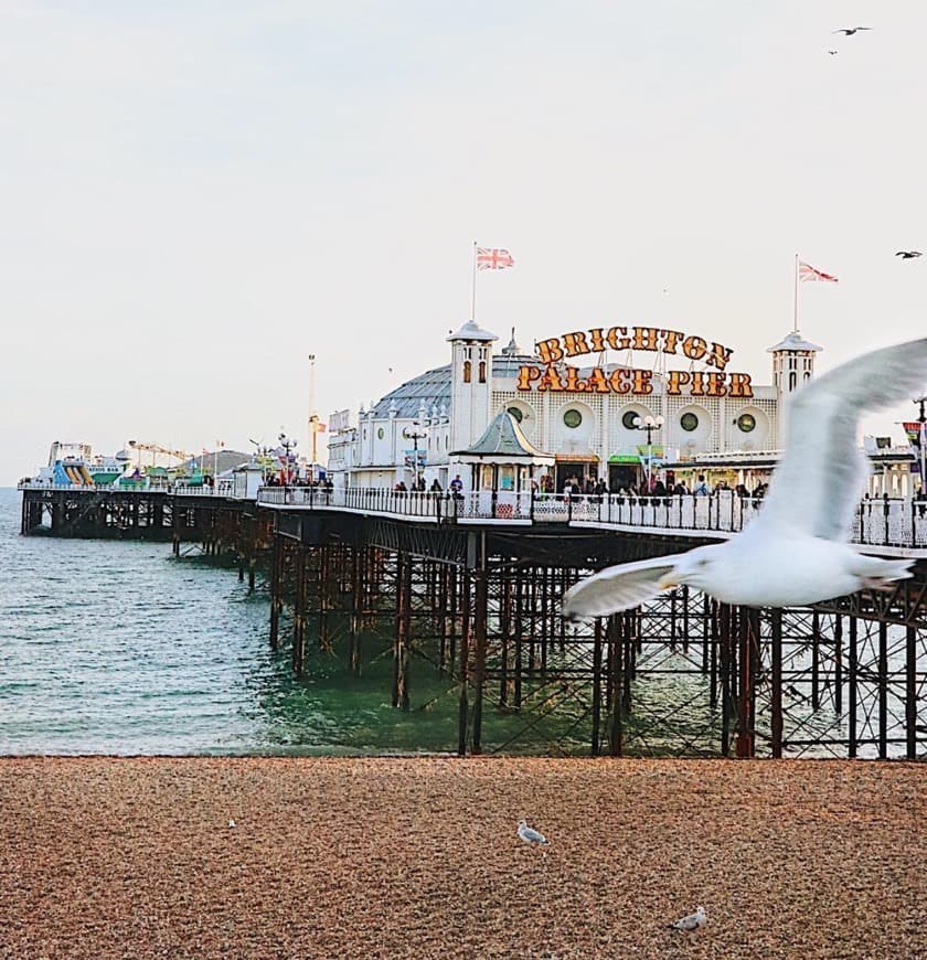 Place Brighton Pier