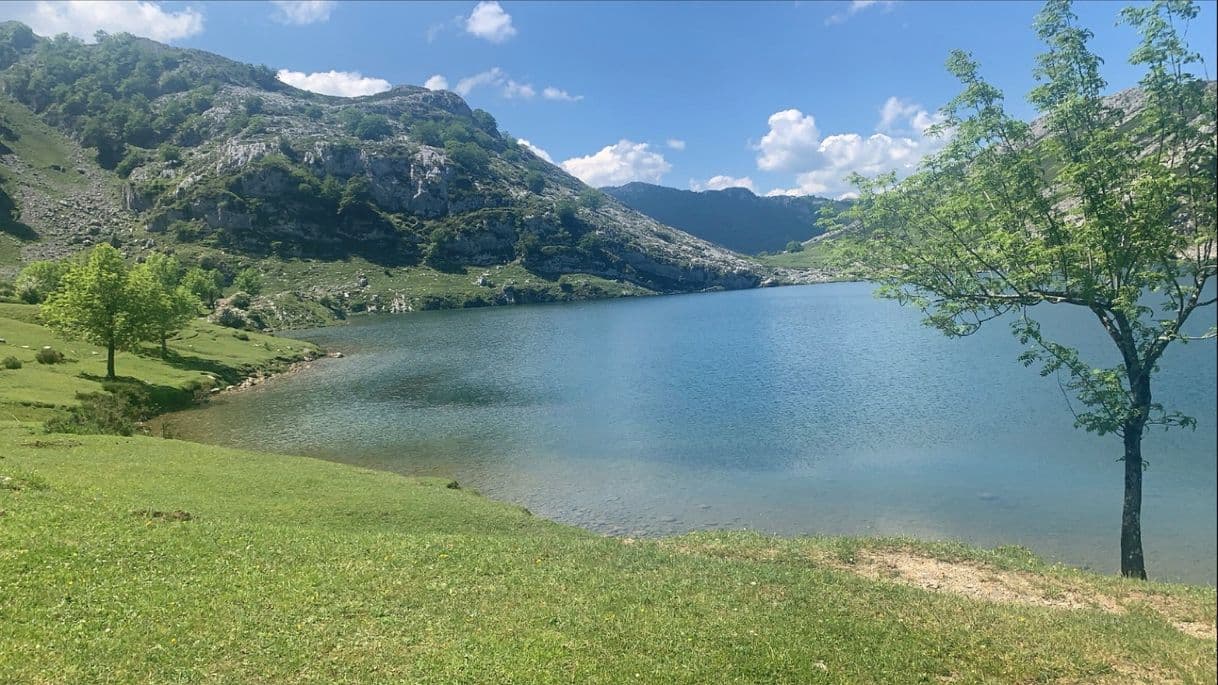 Lugar Lagos de Covadonga