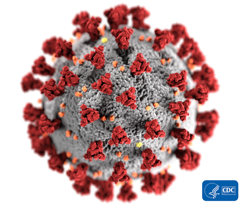 Moda Coronavirus Disease 2019 (COVID-19) | CDC