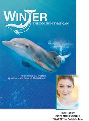 Película Winter, the Dolphin that Can