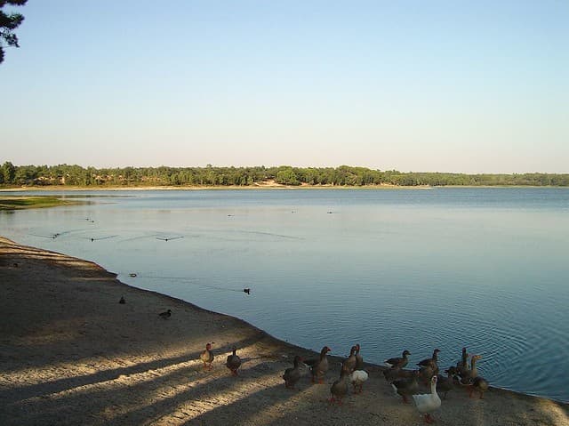 Place Barragem de Magos