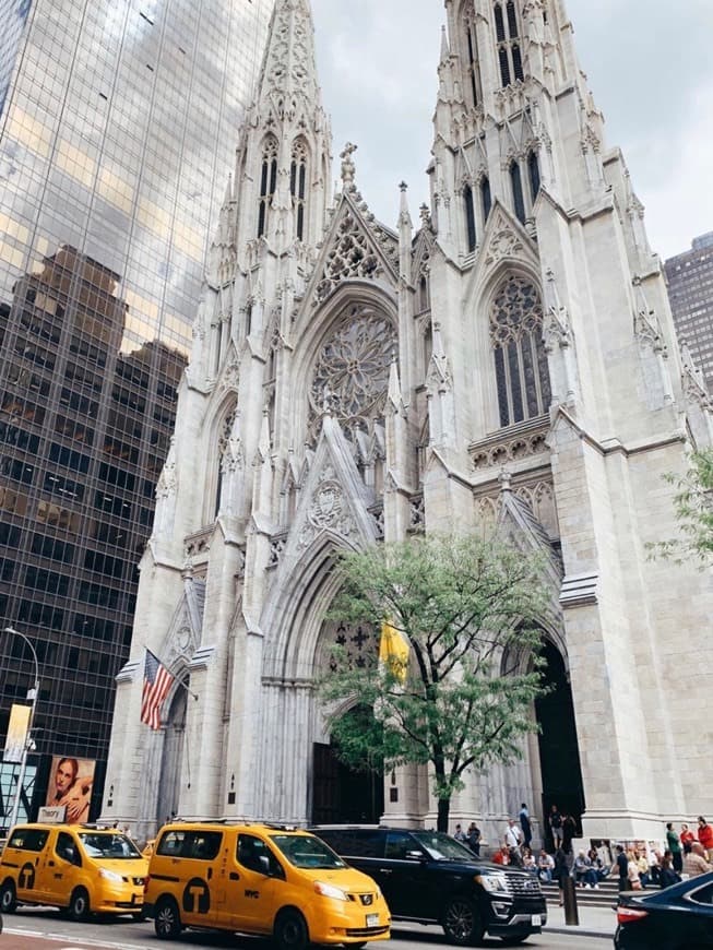 Lugar Saint Patrick's Cathedral