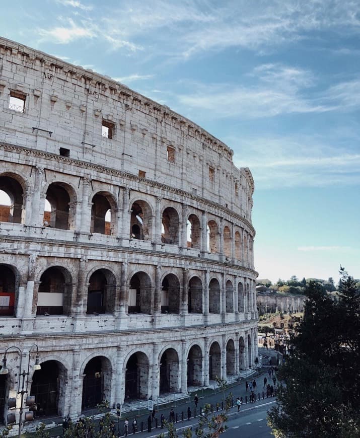 Lugar Coliseo de Roma