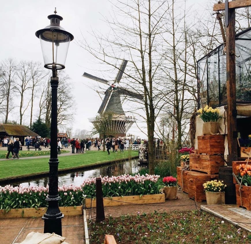 Lugar Keukenhof