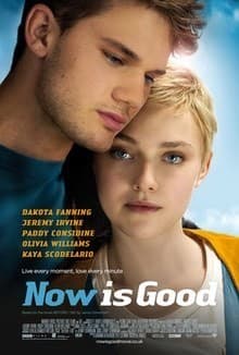 Película Now is Good 